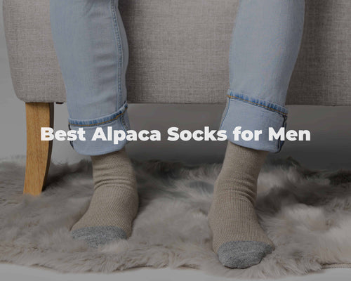 Best Alpaca Socks for Men for Warmth and Style